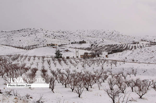 طبیعت برفی روستای قلات