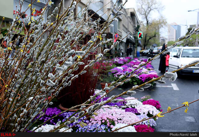 تهران در آستانه سال نو
