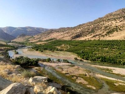 مجوز سد آبریز را به هر قیمتی خواهیم گرفت/ ساخت سدتنگ سرخ یاسوج تنها پروژه مورد تاکید رئیس جمهور در سفر به استان بود 