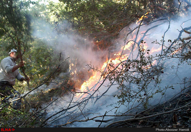 آتش سوزی مراتع و راشستانهای خورگام رودبار گیلان