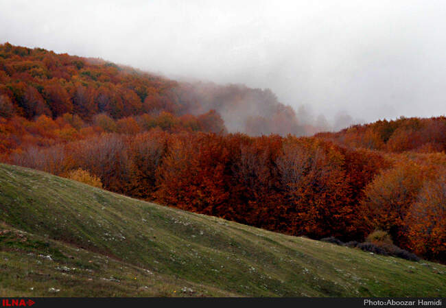 بازی رنگها در رودبار گیلان