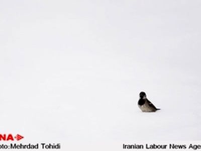 کاهش ۵۳ درصدی وسعت پوشش برفی کشور طی یک سال