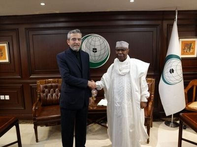 دیدار سرپرست وزارت خارجه با دبیرکل سازمان همکاری اسلامی