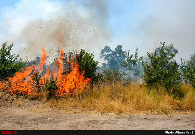 آتش در باغستان های سنتی قزوین