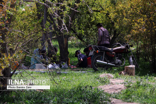 مردم شیراز با ماندن در خانه اتفاقی زیباتر از روز طبیعت را رقم زدند
