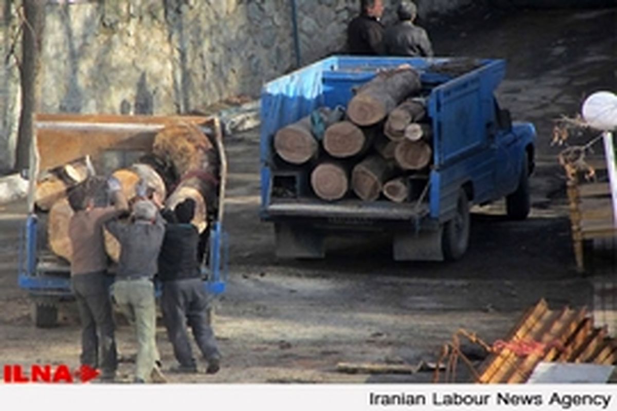 ابطال تغییر کاربری باغ معنوی از فضای سبز به مسکونی