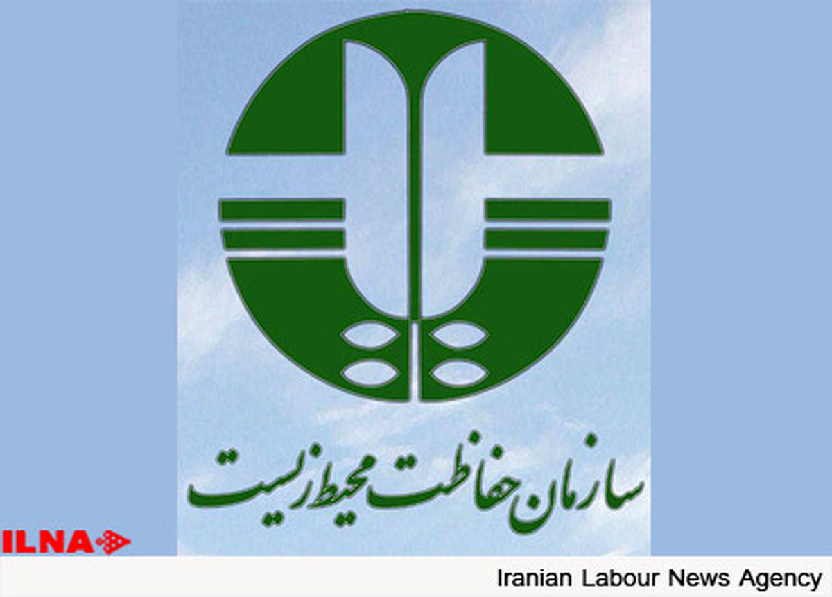 برخورد با عوامل کشته شدن توله خرس در پارک ملی گلستان 