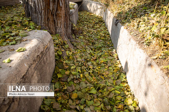 باغستان سنتی؛ میراث کهن مردم قزوین 