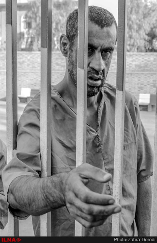 تنهایی پر هیاهو / استان قم