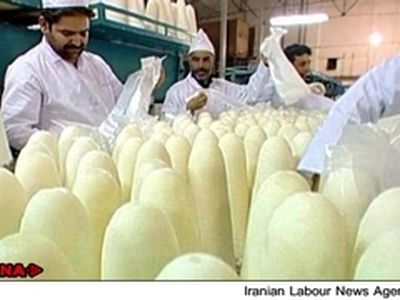 ۱۰۰کارگر اخراجی قند کرج به کار بازگشتند