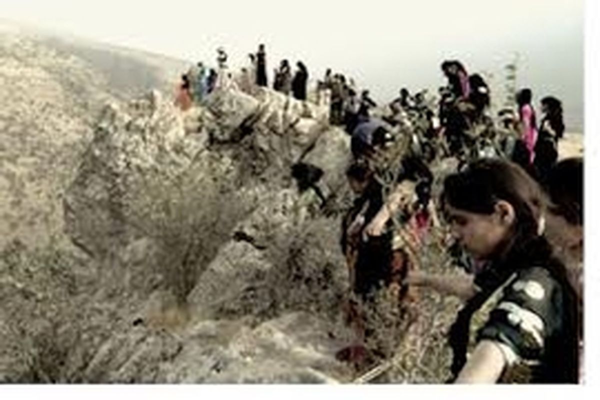 سرنوشت «قصه درختان بلوط» در دستان رضاداد