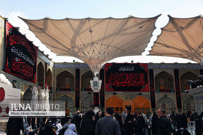 زائران حضرت امیرالمومنین علیه السلام 