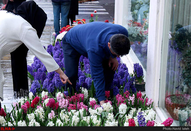 تهران در آستانه سال نو
