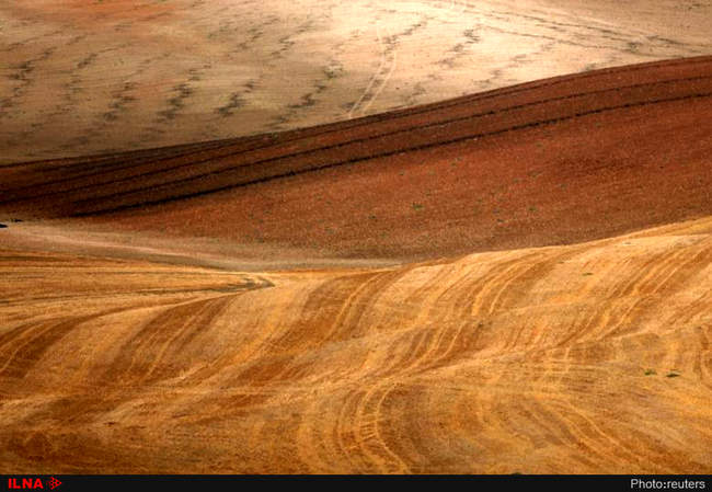 تصاویر هوایی برگزیده رویترز در سال 2017