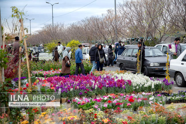 استقبال از نوروز 1405 در جنگ و امید