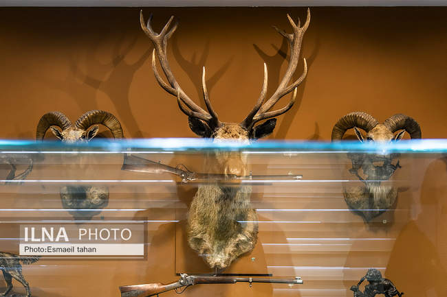 پردیس موزه ای رامسر، دریچه ای به مسیری که پیموده شده