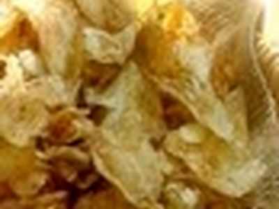 پلمب کارگاه تولید چیپس در یک گاوداری متروکه