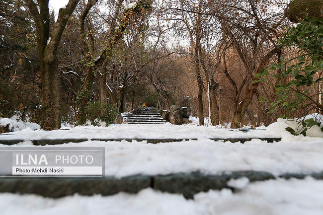 برف زمستانی پارک جمشیدیه