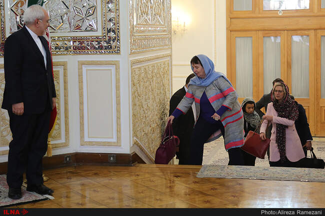 Zarif meets Dutch counterpart in Tehran