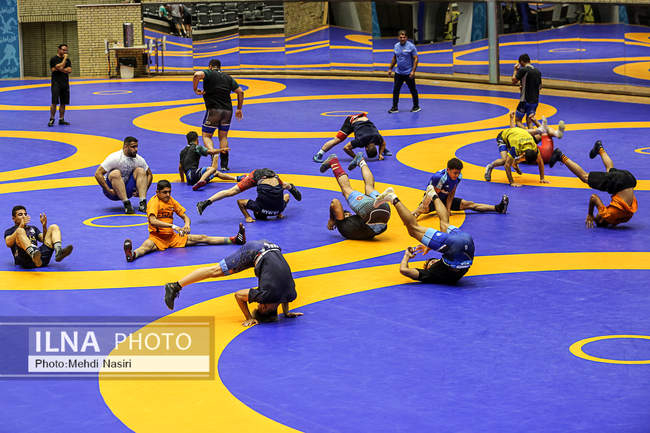 تمرین تیم های ملی کشتی