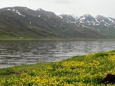 حفاظت از تالاب نئور بر پایه الگوی مشارکت است 