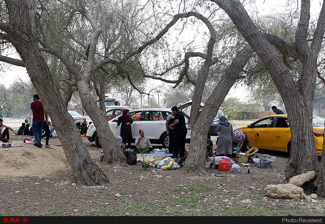 روز طبیعت با کیش وندان