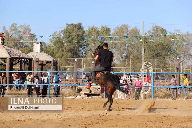 سومین جشنواره زیبایی و شوسواره استان هرمزگان