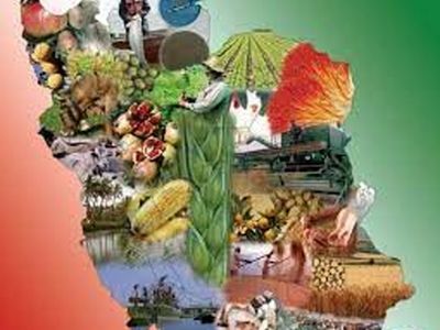 مختصات و مشخصات لازم برای وزیر جهاد کشاورزی 