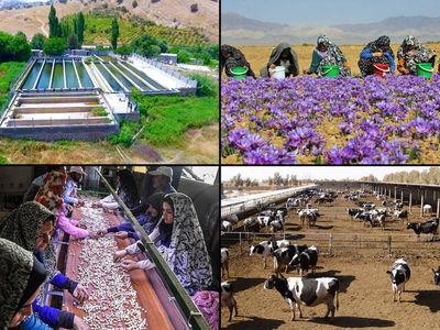اعطای تسهیلات به 2413 طرح اشتغال روستایی در استان مرکزی 