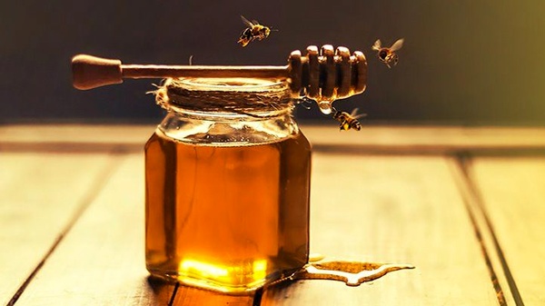 عسل کُنار ایرانی، از مخاطرات مرگبار بیماری‌های حاد گوارشی جلوگیری می‌کند