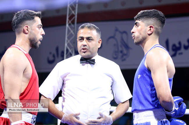 بیستمین دوره مسابقات قهرمانی بوکس کشور 