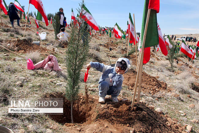 مراسم روز درختکاری