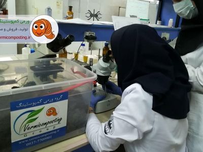 ویژگی‌های منحصر به فرد ورمی کمپوست
