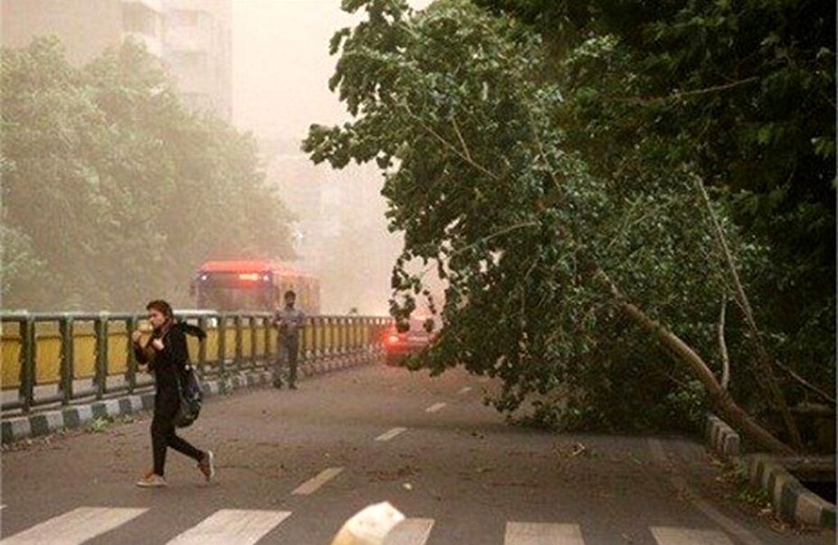 لزوم آماده‌باش دستگاه‌ها و رعایت احتیاط از سوی شهروندان در پی باد شدید و رگبار پایتخت


