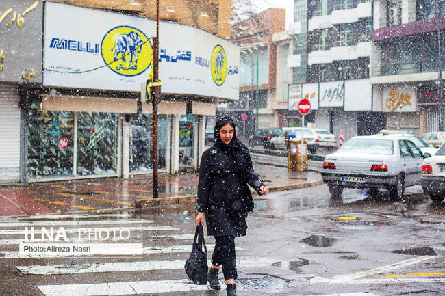 قزوین در آغوش برف به روایت تصویر