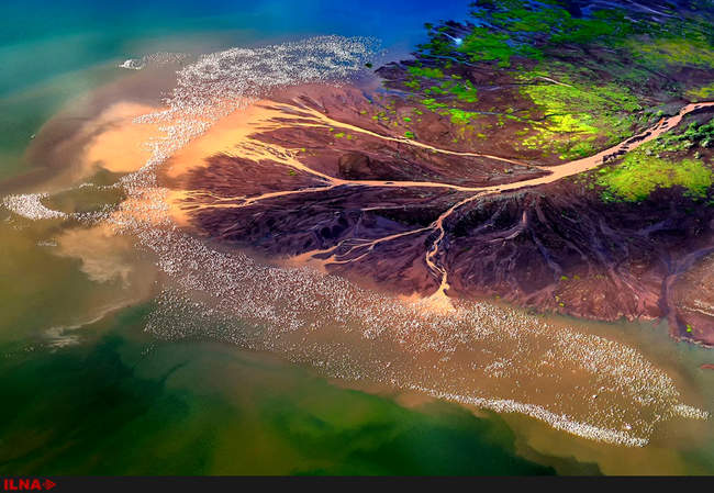  برندگان جایزه عکاسی 