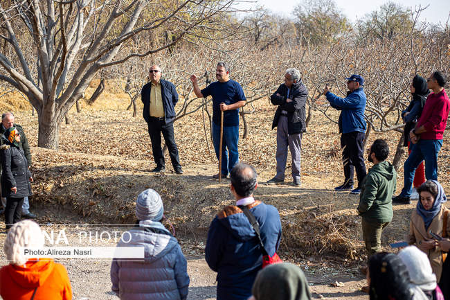 باغستان سنتی؛ میراث کهن مردم قزوین 