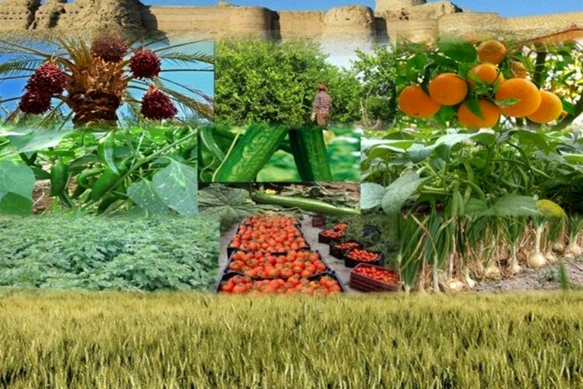 تشکیل ۸ نهاد فراگیر ملی جدید در بخش کشاورزی