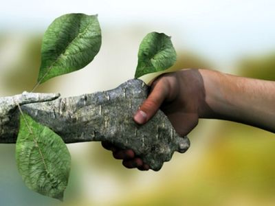 ذوب آهن با ۱۶۵۰۰ هکتار فضای سبز دوستدار محیط زیست است/ تشریح فعالیت‌های شاخص ذوب آهن در حفظ محیط زیست