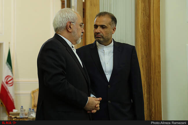 دیدار رئیس گروه دوستی ایران و پارلمان اروپا با محمد جواد ظریف