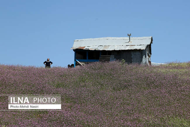 سلانسر یکی از زیباترین ییلاقات رودبار