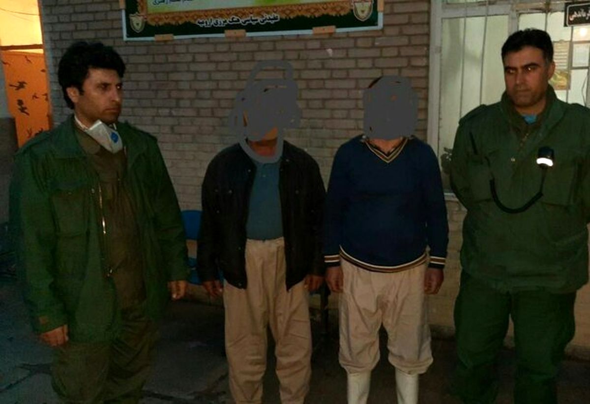 دستگیری عوامل کشتار خرس قهوه ای در ‌ارومیه 