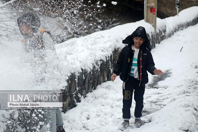 جاده چالوس در یک روز برفی