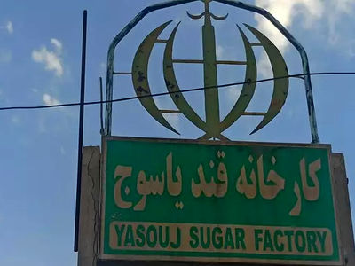 کارخانه قند یاسوج شروع به کار می‌کند/ بازگشت کارگران