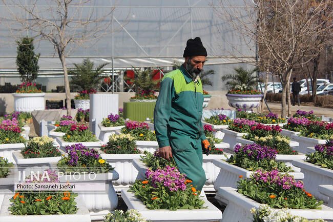 مشهد در تدارک استقبال از بهار ۱۴۰۲ 