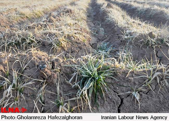 مشکلات روستای حصار نیشابور
