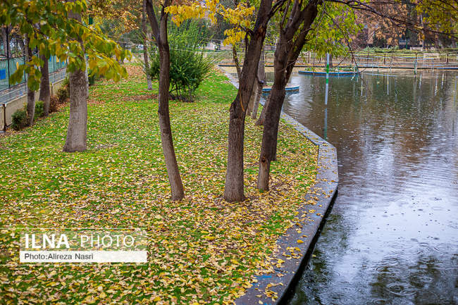 بارش اولین باران پاییزی در قزوین