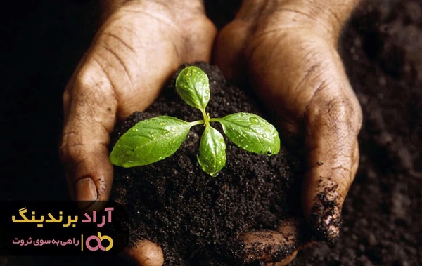 فروش کود سیاه مایع مرغوب در چه مراکزی صورت می گیرد؟