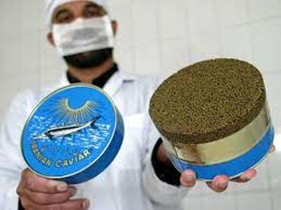 Iran's Caviar export to EU resumed