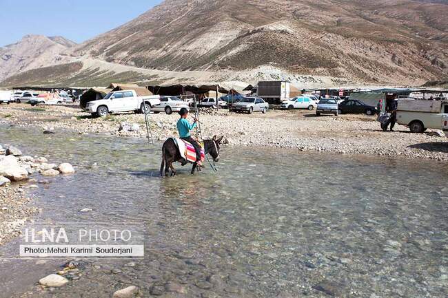 IMG_1015 copy 2